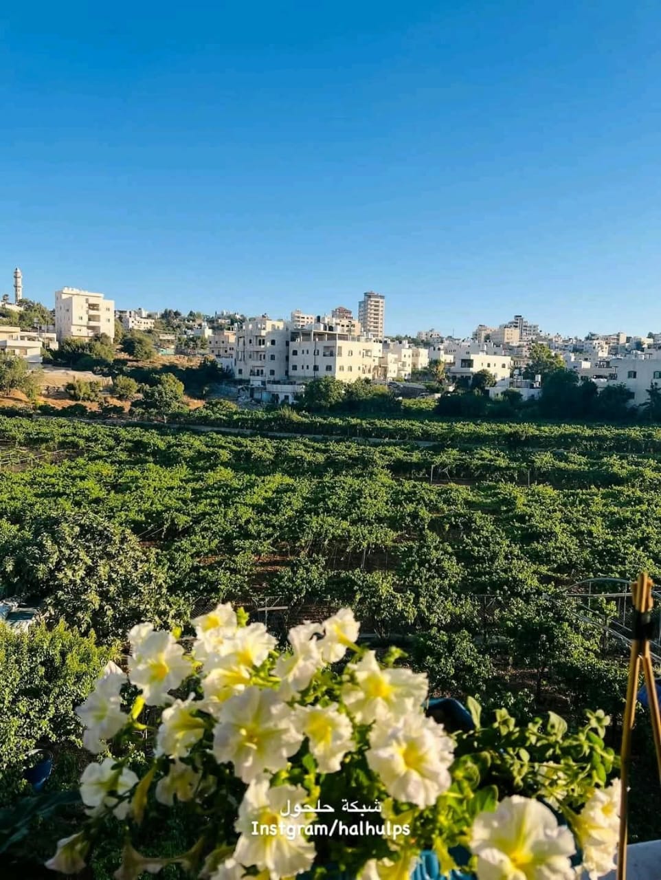 الخليل | موسوعة القرى الفلسطينية